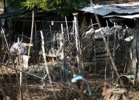 Κραυγή αγωνίας κτηνοτρόφου: «Υγειονομική βόμβα 700 νεκρών ζώων στη μονάδα μας» [vid]