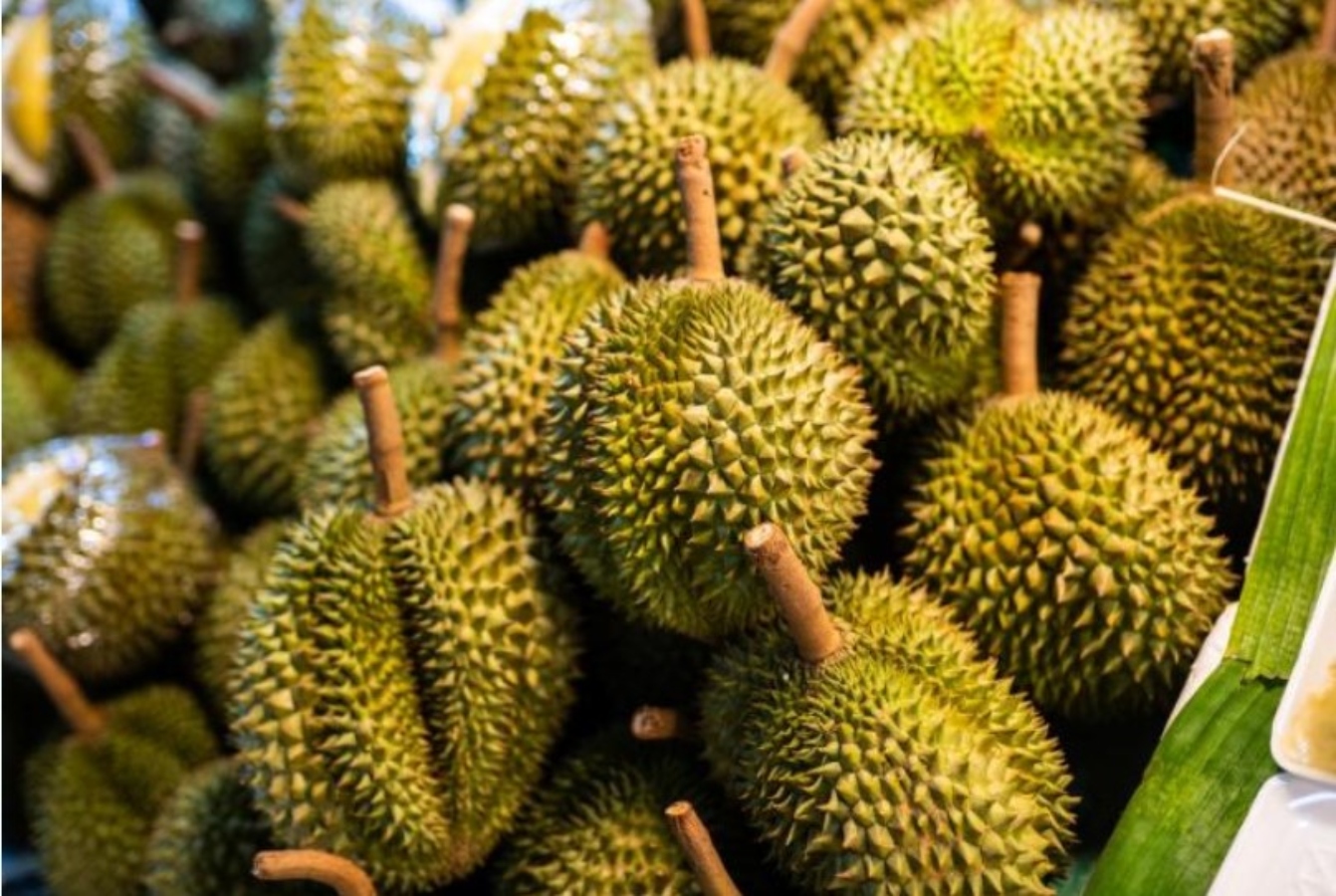Durian: Οι πωλήσεις του φρούτου με τη «χειρότερη μυρωδιά στον κόσμο» εκτοξεύτηκαν 400%