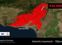 Περισσότερα από 880.000 στρέμματα δάσους κατέκαψαν οι φωτιές στον Έβρο