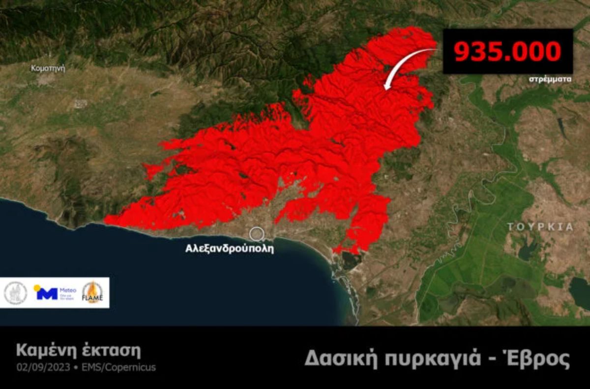 Περισσότερα από 880.000 στρέμματα δάσους κατέκαψαν οι φωτιές στον Έβρο