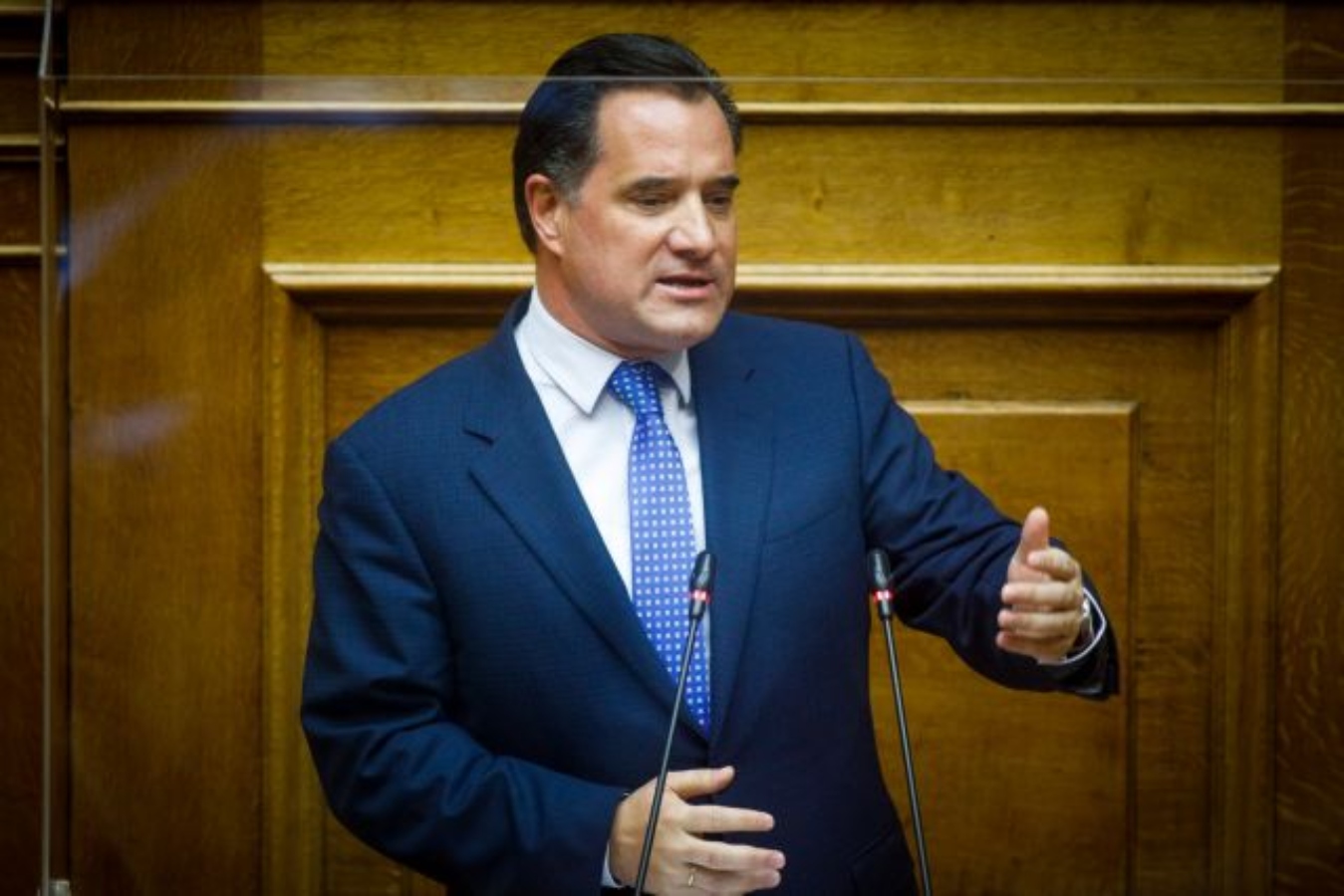 Άδωνις: Άλλο αθρόα πρόσληψη μεταναστών και άλλο συντεταγμένη μετάκληση