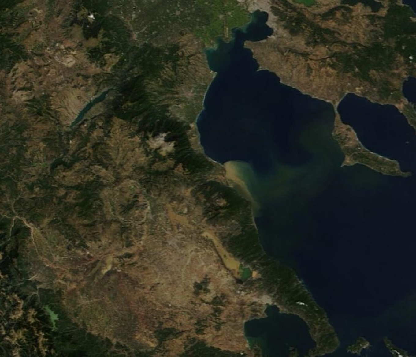 Θεσσαλία: Η λάσπη έφτασε μέχρι την Χαλκιδική – Πλημμυρισμένα χωριά και νεκρά ζώα [pic]