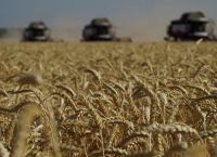 Ε.Ε.: Η Ρωσία να επιστρέψει στη συμφωνία για τα σιτηρά