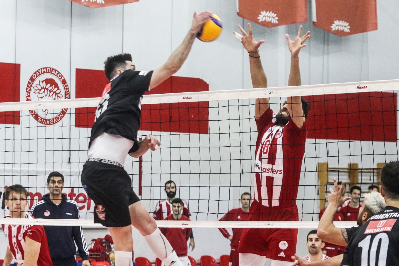 Volley League: Ξεκινά με ντέρμπι Ολυμπιακός – ΠΑΟΚ [vid]