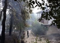 Insurance compensations for damages in summer 2023 wildfires at 49 mln, says report