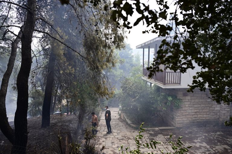 Insurance compensations for damages in summer 2023 wildfires at 49 mln, says report
