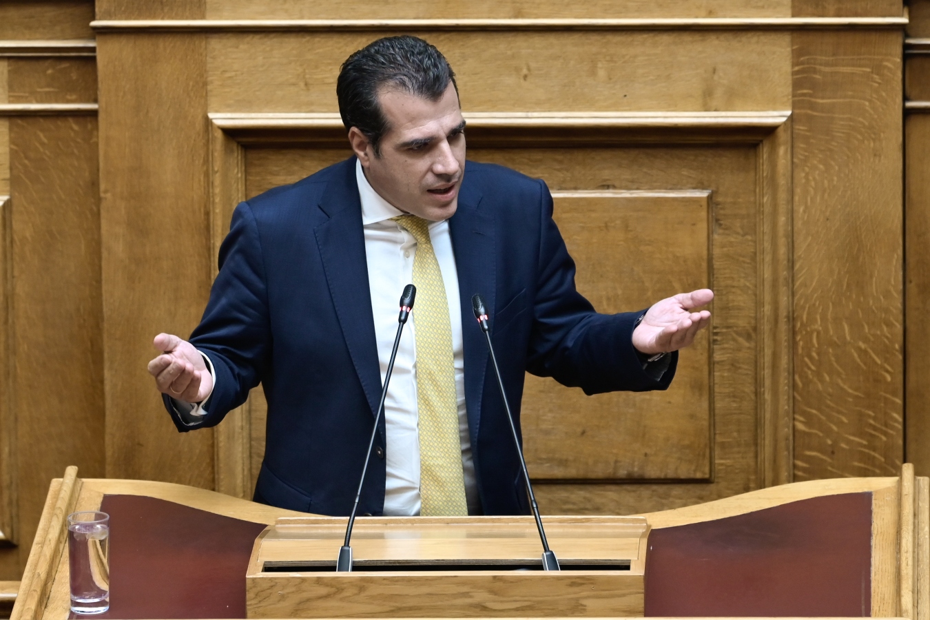 Πλεύρης: Να αναθεωρηθεί το άσυλο για Παλαιστίνιους στη χώρα μας που πανηγύριζαν για το χτύπημα στο Ισραήλ