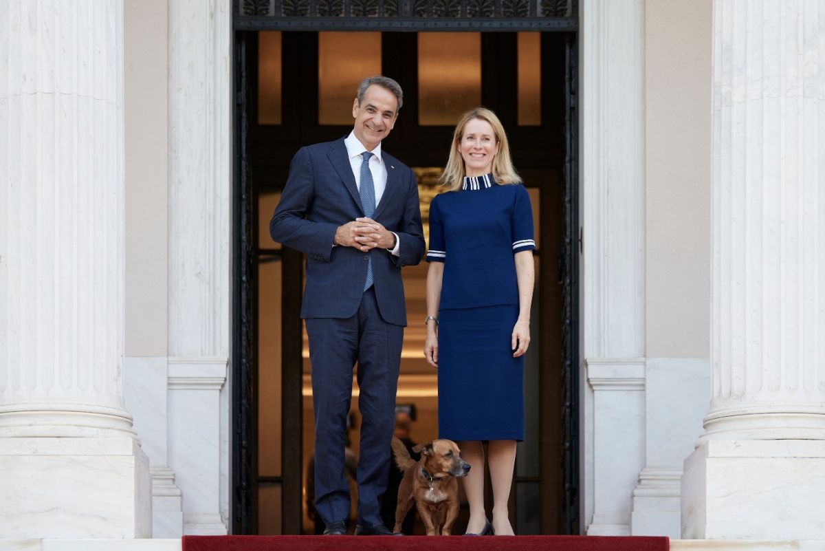 Borders must not be violated and terrorist actions must be answered, Mitsotakis says