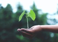 2o ESG Universe Forum: Profit by Purpose – Έρχεται στις 25 Οκτωβρίου!