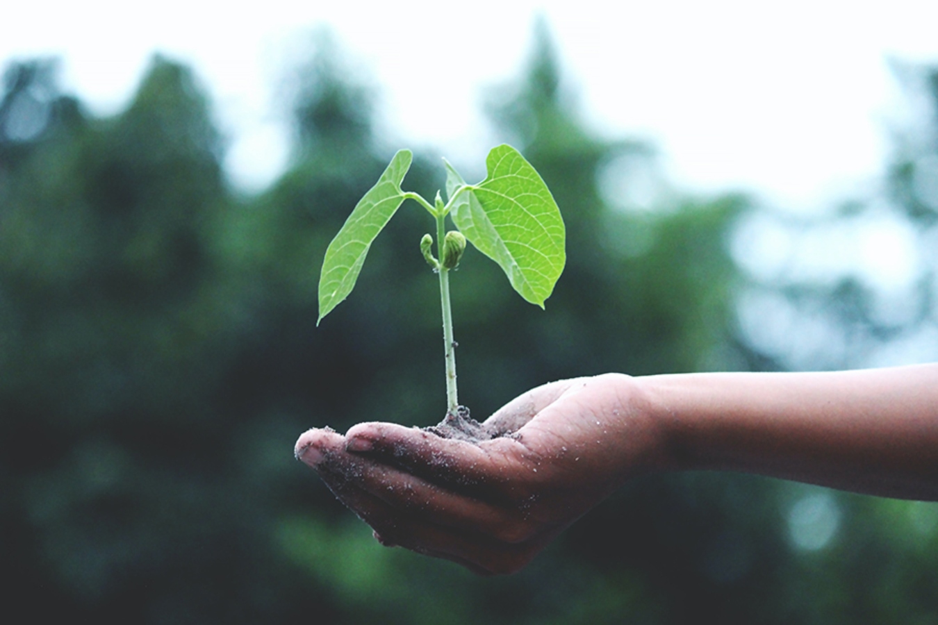 2o ESG Universe Forum: Profit by Purpose – Έρχεται στις 25 Οκτωβρίου!