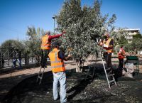 ΕΛΓΑ: Σήμερα η πληρωμή αποζημιώσεων ύψους 28 εκατ.