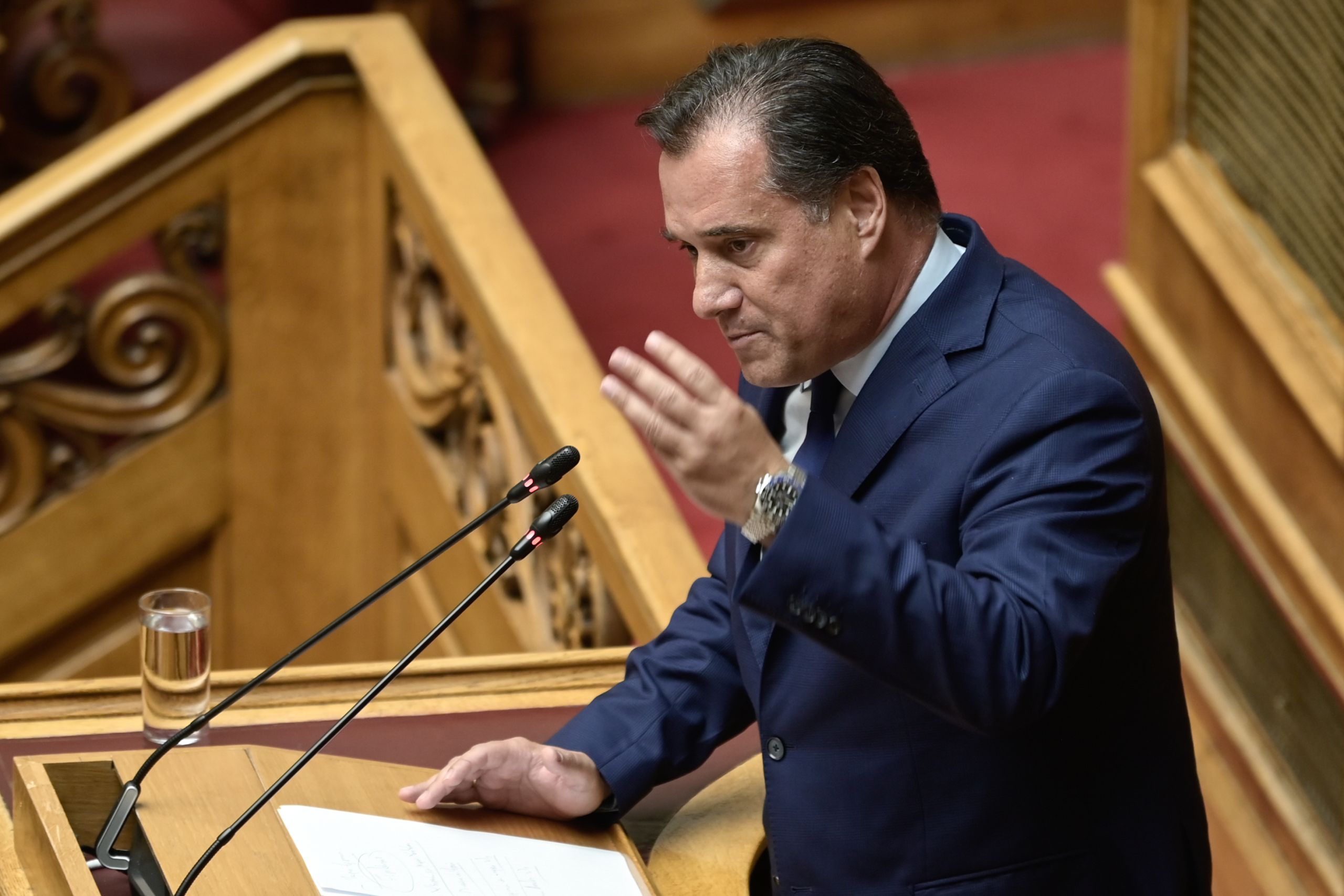 Άδωνις: Κρίμα που το ΠΑΣΟΚ προσπαθεί να μοιάσει στον  αντιμνημονιακό ΣΥΡΙΖΑ