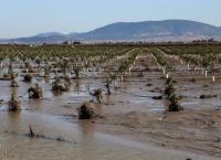 Ξεκίνησε η επιχορήγηση για τις επιχειρήσεις που επλήγησαν από τις πλημμύρες στη Θεσσαλία