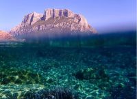 Τα λιβάδια Ποσειδωνίας στις ελληνικές θάλασσες βρίσκονται σε κίνδυνο