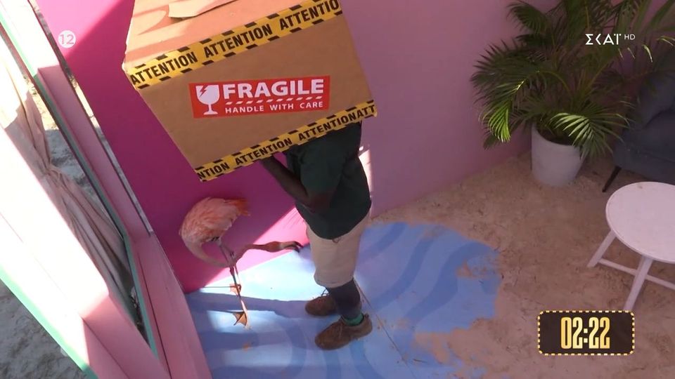 I’m a Celebrity…Get me out of here: Τρόμος για Πάτρικ – Τον δάγκωσε φλαμίνγκο! [vid]