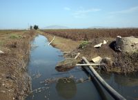 Πιστώνονται σήμερα 110 εκατ. ευρώ σε Θεσσαλούς αγρότες