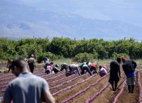 Αδεια διαμονής σε εργαζόμενους μετανάστες – Τι προβλέπει η τροπολογία