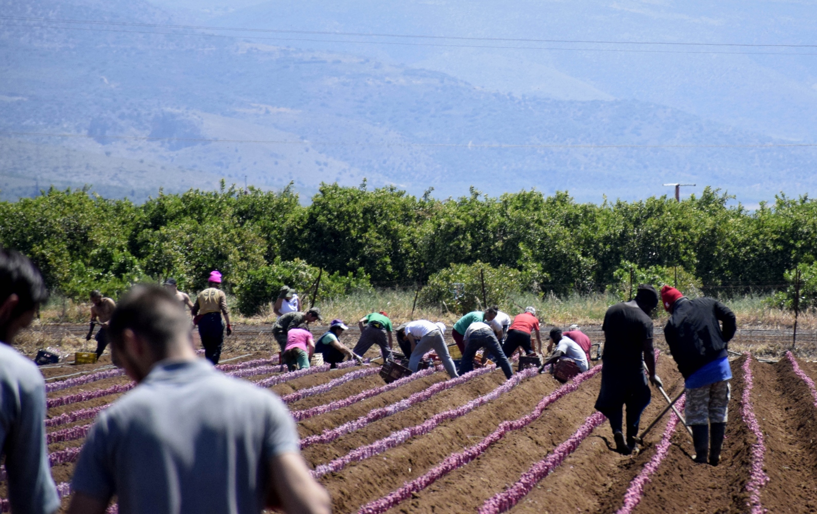 Αδεια διαμονής σε εργαζόμενους μετανάστες – Τι προβλέπει η τροπολογία