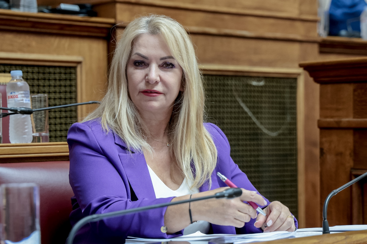 Μανή: Το 2024 η αδειοδότηση μίας επένδυσης στην Ελλάδα θα γίνεται από το γραφείο και τον υπολογιστή