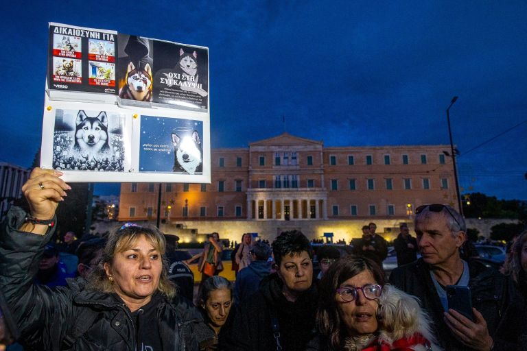 Συγκέντρωση διαμαρτυρίας στο Σύνταγμα για το Χάσκι της Αράχωβας [vid]