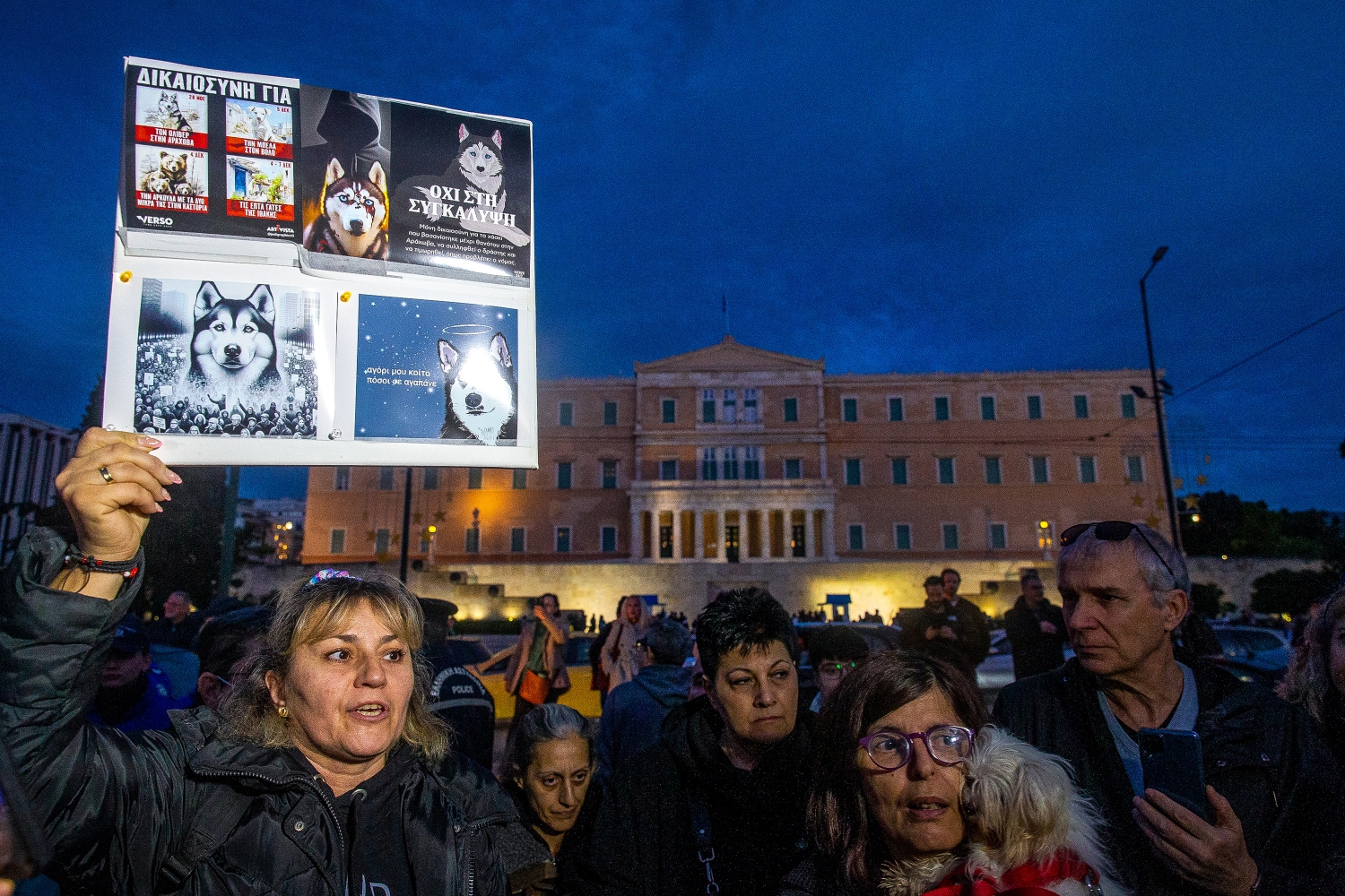Συγκέντρωση διαμαρτυρίας στο Σύνταγμα για το Χάσκι της Αράχωβας [vid]
