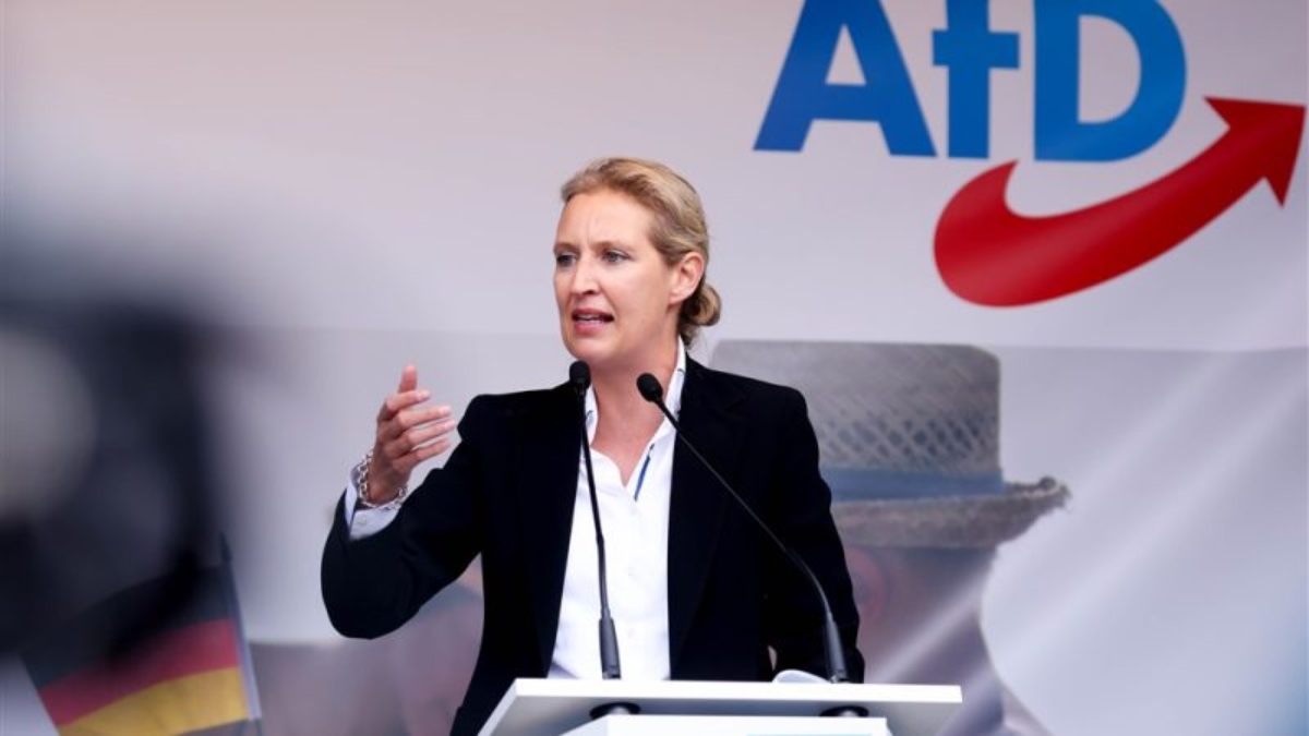 Γερμανία: Η AfD σε άνοδο, κινδυνεύει η δημοκρατία;
