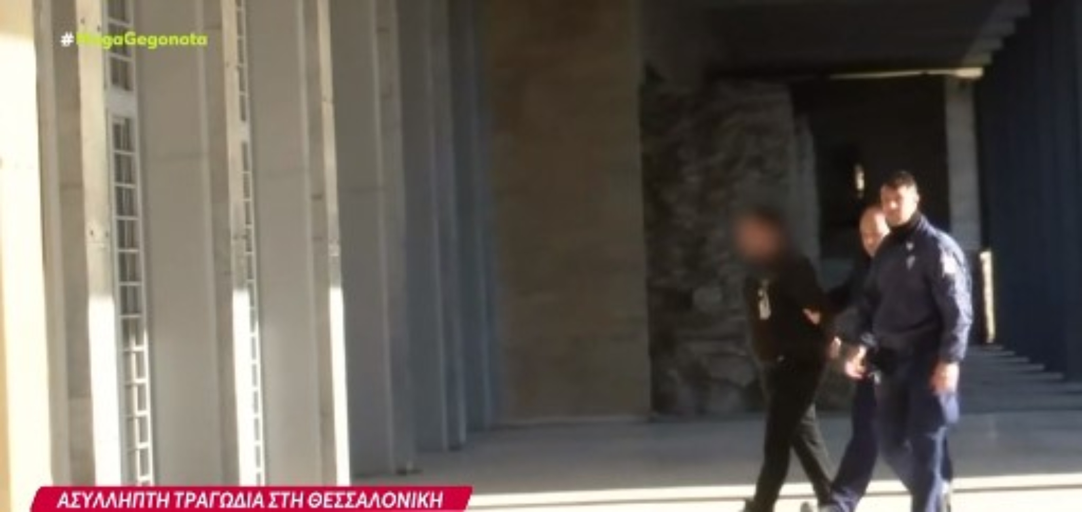 Κακουργηματική δίωξη στον 37χρονο ιδιοκτήτη των σκύλων που επιτέθηκαν μέχρι θανάτου στην 50χρονη