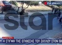 H στιγμή της επίθεσης του σκύλου στο 9χρονο αγόρι στο Καματερό [vid]
