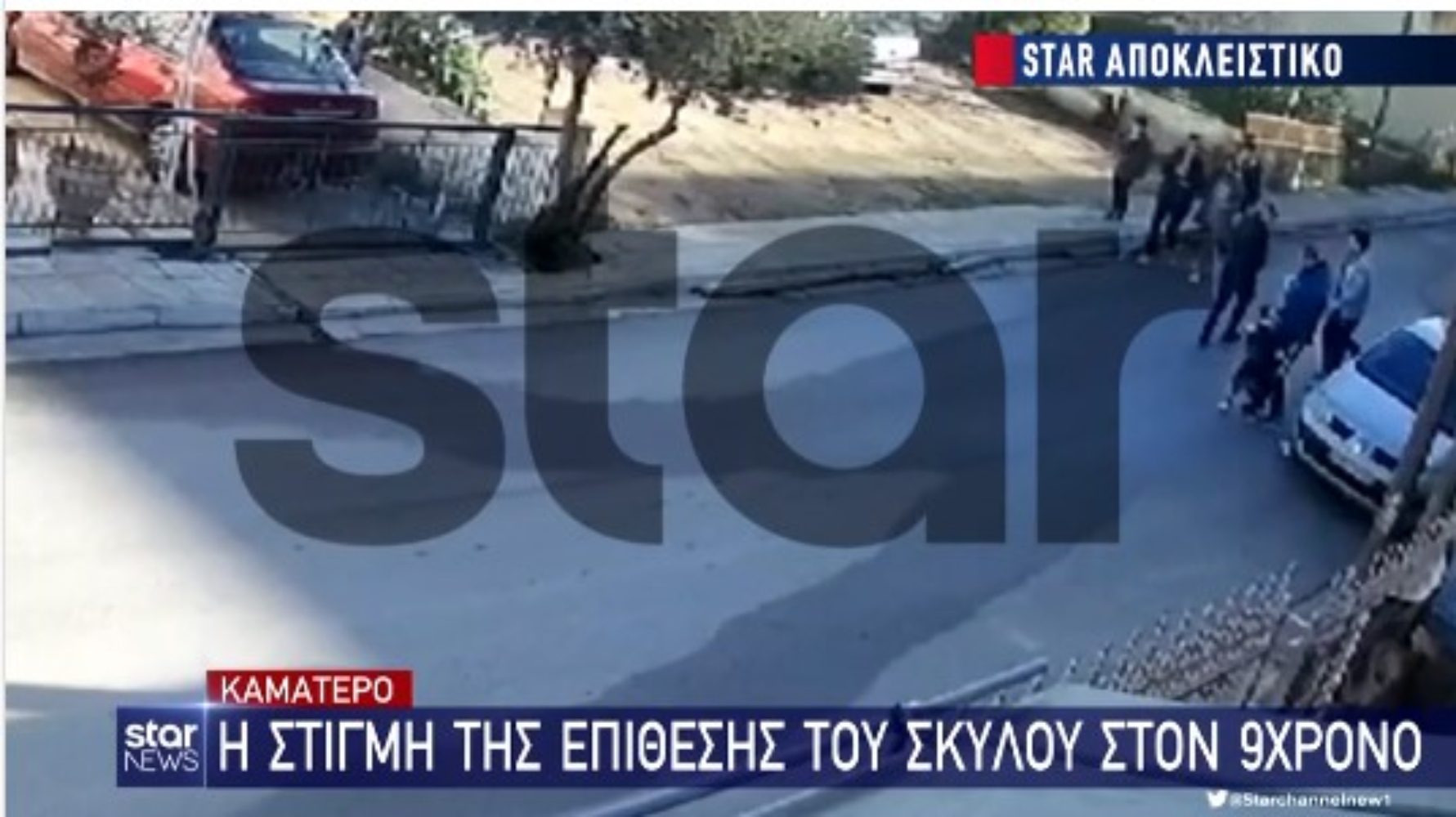 H στιγμή της επίθεσης του σκύλου στο 9χρονο αγόρι στο Καματερό [vid]