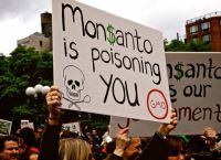 ΗΠΑ: Καταδικάστηκε η Monsanto με πρόστιμο 857 εκατ. δολαρίων για έκθεση πολιτών σε νευροτοξικά χημικά