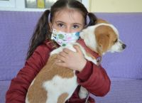 8χρονο κορίτσι περπάτησε 2μιση χλμ στο χιόνι με τον σκύλο στην πλάτη για να τον πάει στον κτηνίατρο 8χρονο κορίτσι περπάτησε 2μιση χλμ στο χιόνι με τον σκύλο στην πλάτη για να τον πάει στον κτηνίατρο
