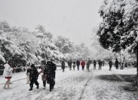 Με μειωμένο ωράριο σχολεία στη Δυτική Μακεδονία λόγω του ισχυρού παγετού