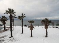 Θα “σκάσει” η… χιονοβόμβα; Ποιές περιοχές θα επηρεάσει η κακοκαιρία
