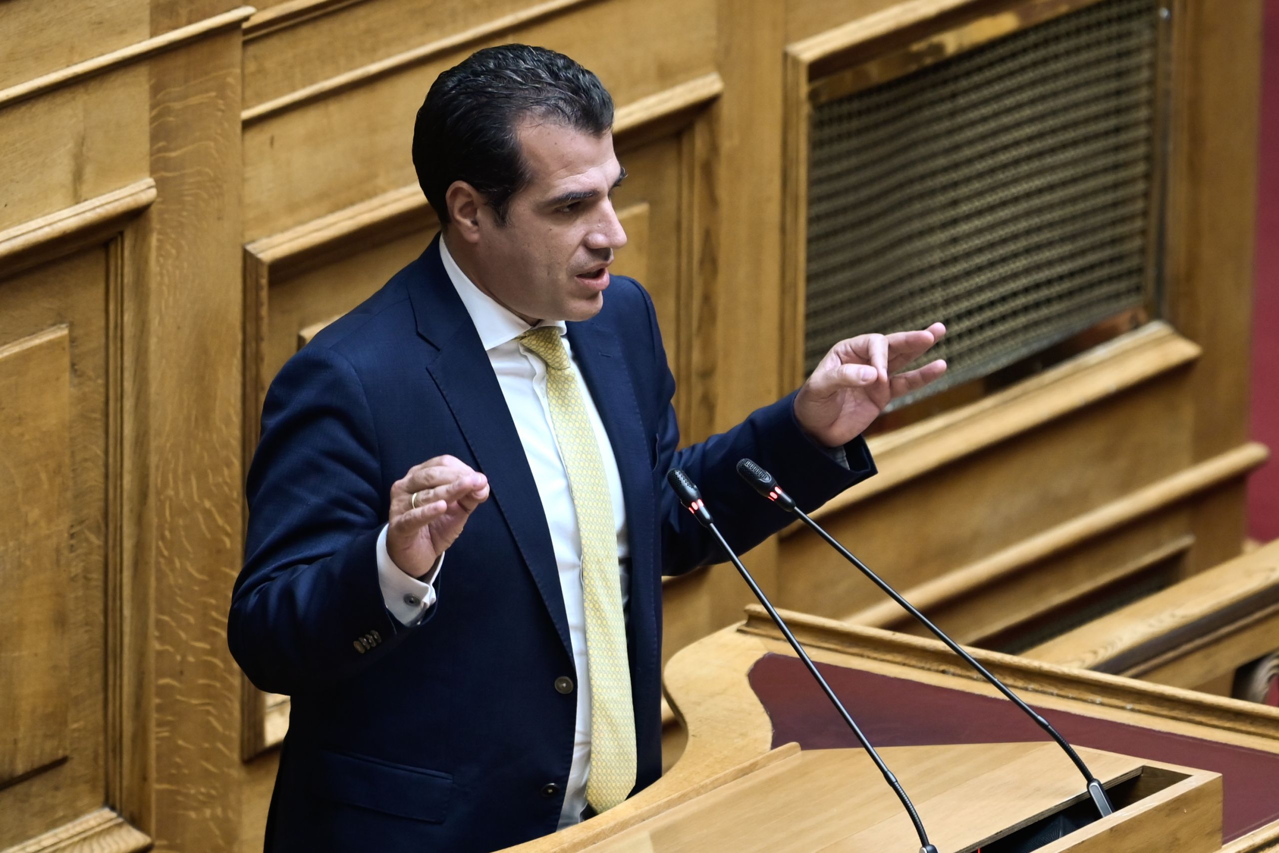 Πλεύρης για επιστολική ψήφος: Τυχοδιωκτική η στάση ΠΑΣΟΚ και ΣΥΡΙΖΑ
