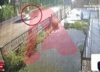 Η στιγμή που ο Μπάμπης μόλις έχει επιβιβαστεί στο ΙΧ του κρεοπώλη
