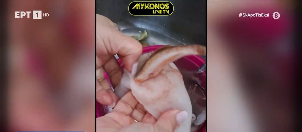 Μύκονος: Viral το φρέσκο καλαμάρι που έκρυβε μέσα του ένα… ψάρι