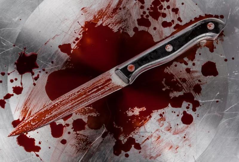 Σεφ έκοψε την καρδιά και τα έντερά της κοπέλας του – Είναι γιος του «στραγγαλιστή της Μπρατισλάβα»