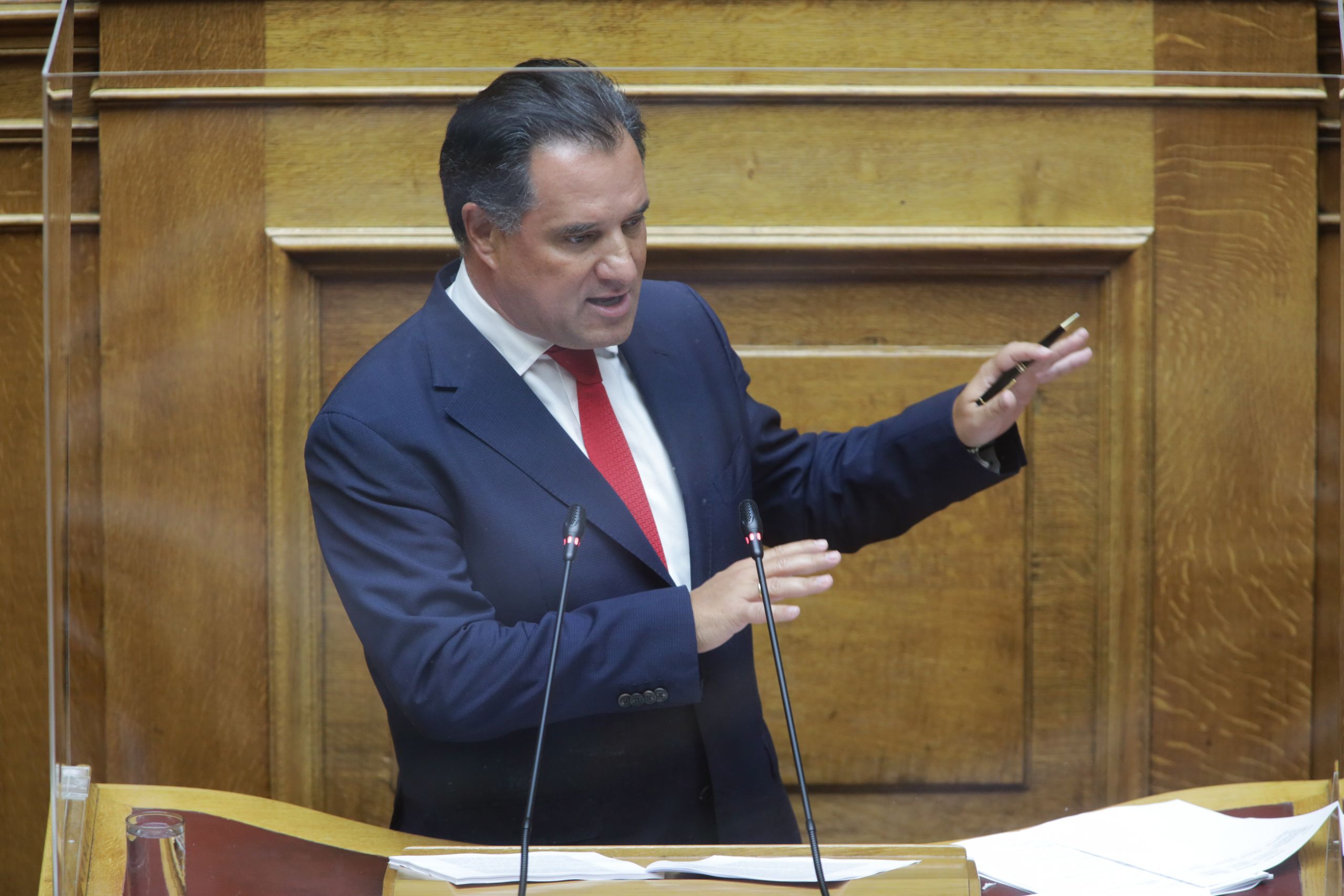 Άδωνις: Μαεστρικός ο χειρισμός των φοιτητικών καταλήψεων