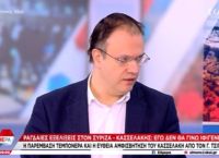 Θεοχαρόπουλος: Δεν δώσαμε λευκή επιταγή – Δεν το ζήτησε ούτε ο Κασσελάκης