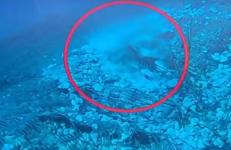 Undersea Fresh Water Pipeline Attacked for…Fourth Time