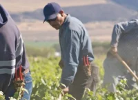 Υπουργείο Εργασίας: Άγγιξαν τις 400.000 τα αιτήματα για μετακλήσεις ξένων εργατών