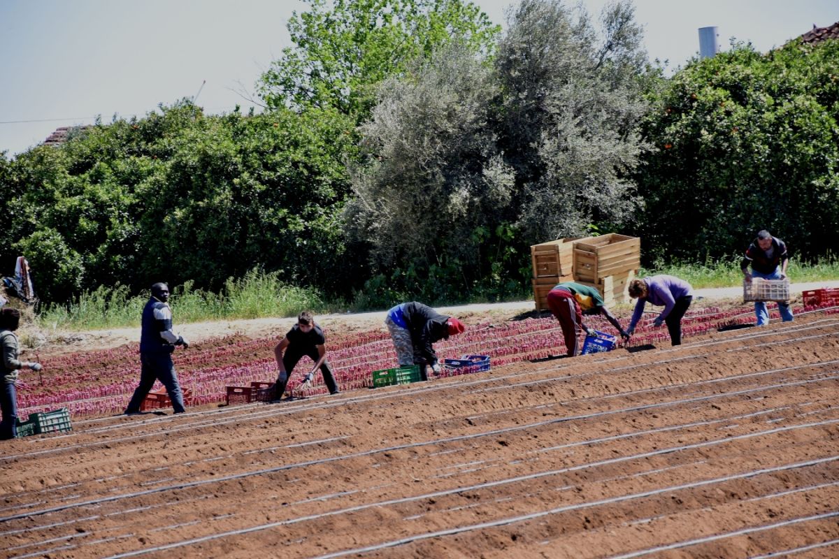 Σχεδόν 5.000 αιτήσεις για τη νέου τύπου άδεια διαμονής για εργασία σε πολίτες τρίτων χωρών