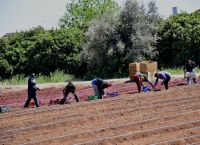 Σχεδόν 5.000 αιτήσεις για τη νέου τύπου άδεια διαμονής για εργασία σε πολίτες τρίτων χωρών