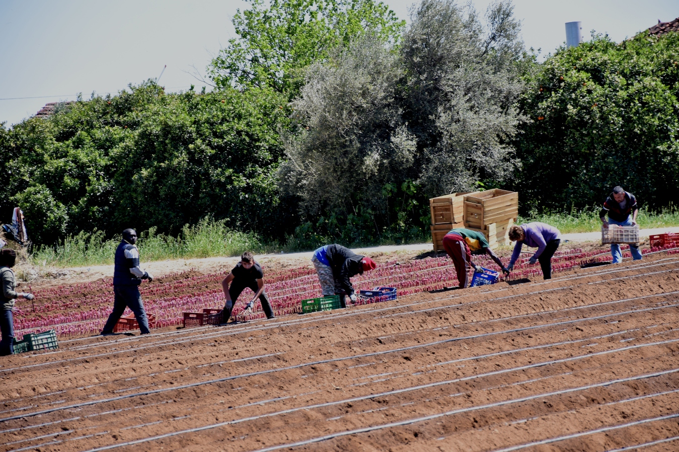 Σχεδόν 5.000 αιτήσεις για τη νέου τύπου άδεια διαμονής για εργασία σε πολίτες τρίτων χωρών