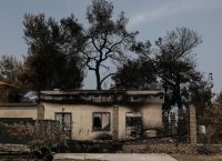 ΚΥΑ: Προκαταβολή 50% για ζημιές σε φυτικό κεφάλαιο από τις πυρκαγιές του 2023
