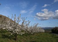 Με καλό καιρό η έξοδος των εκδρομέων της Καθαράς Δευτέρας – Άστατος ο καιρός την Κυριακή της Αποκριάς