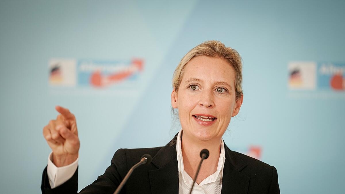 Γερμανία: Καταγγελίες κατά του AfD για κατασκοπεία και διαφθορά
