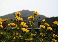 Καιρός 26/04/2024: Καλοκαιρία σε ολόκληρη τη χώρα – Επιμένουν οι βορειοδυτικοί άνεμοι