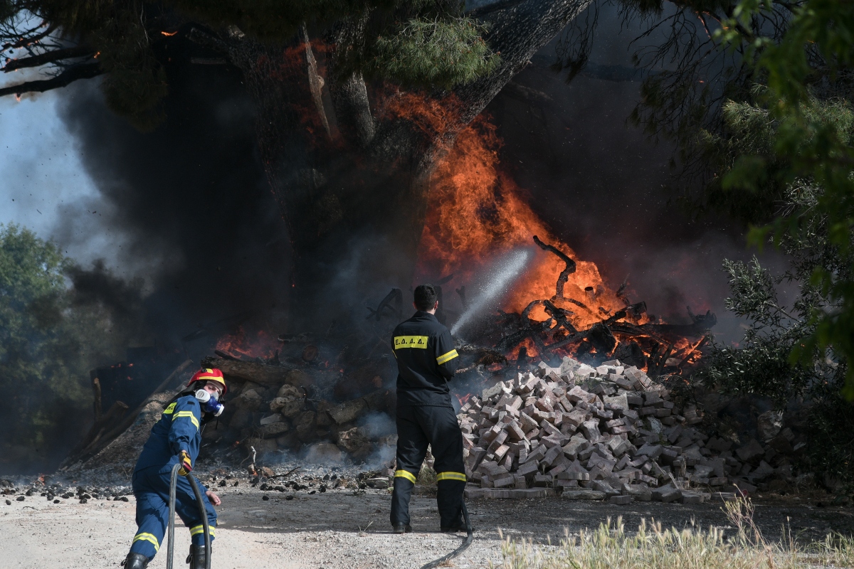 Συναγερμός στην Πολιτική Προστασία – Μεγάλος κίνδυνος πυρκαγιών
