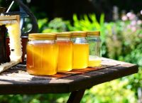 Greece Boosts EU Honey Trade: Imports Hit €359.3M in 2023 Greece Boosts EU Honey Trade: Imports Hit €359.3M in 2023